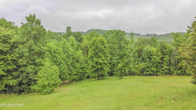 509 Hidden Forest Trl, Spring City, TN 37381