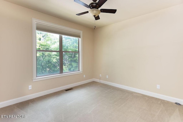 14 Benwick Ct, Crossville, TN 38558 - photo 30