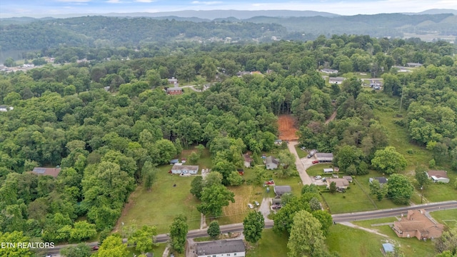 533 Greenwood St, Kingston, TN 37763 - photo 3