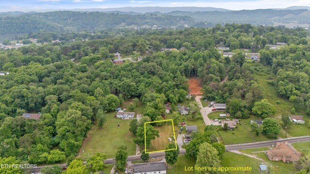 533 Greenwood St, Kingston, TN 37763 - photo 4