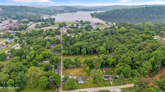 533 Greenwood St, Kingston, TN 37763 - photo 5