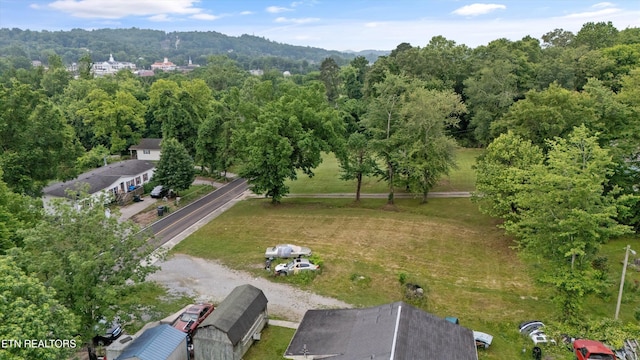 533 Greenwood St, Kingston, TN 37763 - photo 6