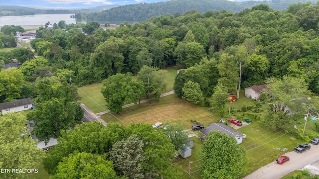 533 Greenwood St, Kingston, TN 37763 - photo 7