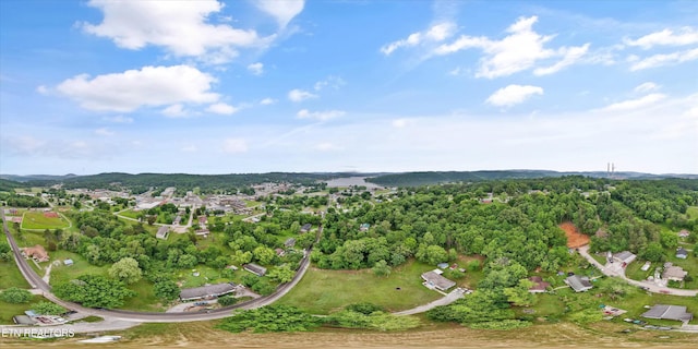 533 Greenwood St, Kingston, TN 37763 - photo 8