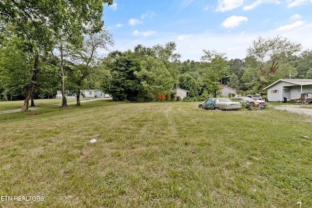 533 Greenwood St, Kingston, TN 37763 - photo 9