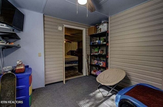 12863 Summer City Rd, Spring City, TN 37381 - storage with ceiling fan