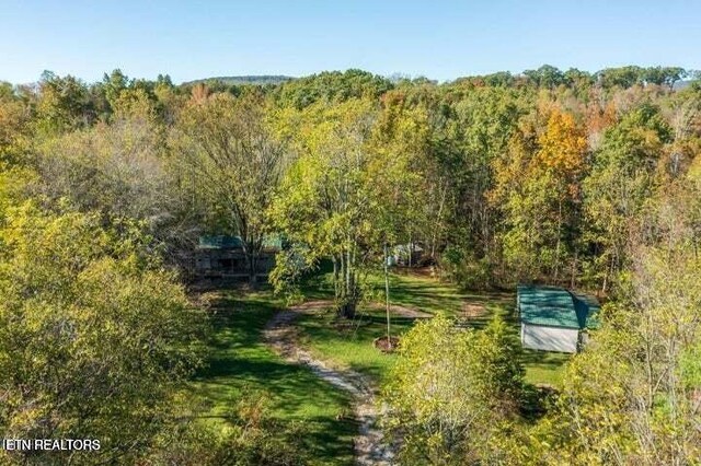 12863 Summer City Rd, Spring City, TN 37381 - aerial view of a forest
