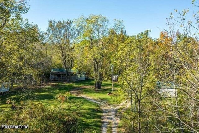 12863 Summer City Rd, Spring City, TN 37381 - view of yard featuring a view of trees