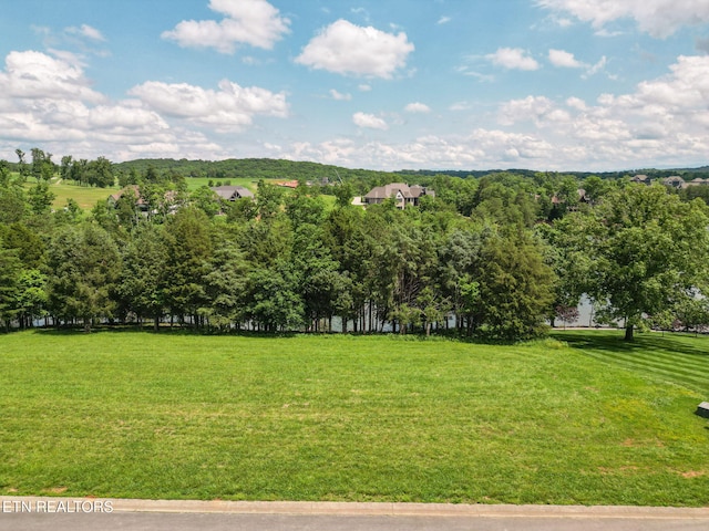 1263 Zepher Dr, Lenoir City, TN 37772 - photo 1