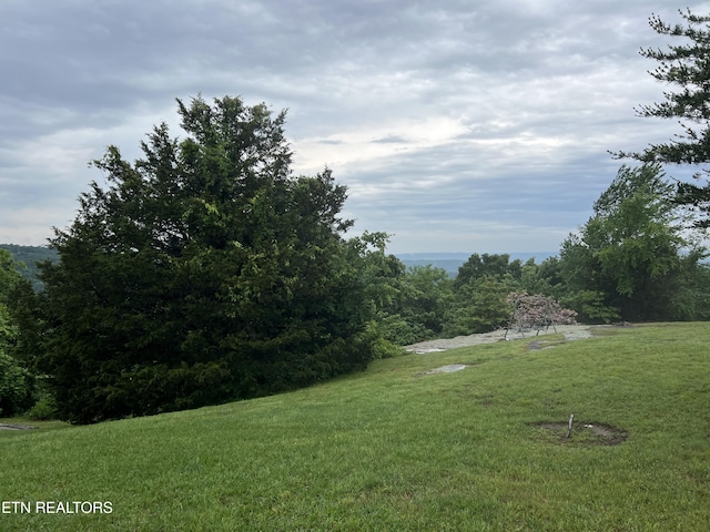 319 Grandview Dr, Sparta, TN 38583 - photo 34
