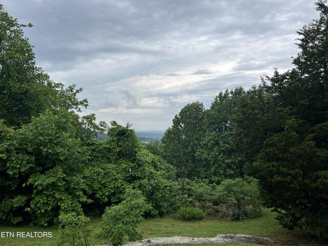 319 Grandview Dr, Sparta, TN 38583 - photo 35