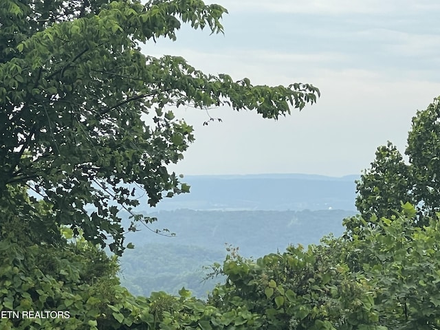 319 Grandview Dr, Sparta, TN 38583 - photo 11