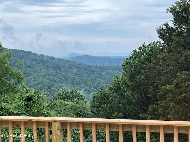 319 Grandview Dr, Sparta, TN 38583 - photo 10
