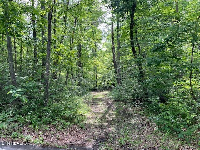 5939 Happy Valley Rd, Tallassee, TN 37878 - photo 7