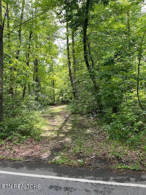 5939 Happy Valley Rd, Tallassee, TN 37878 - photo 6