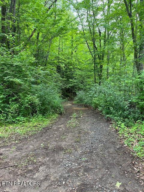 5939 Happy Valley Rd, Tallassee, TN 37878 - photo 8