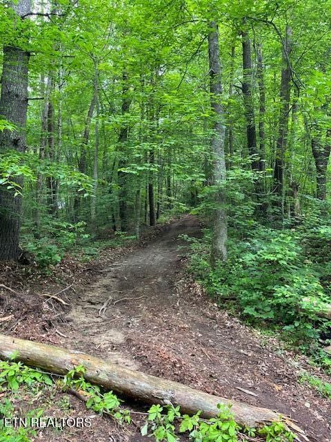 5939 Happy Valley Rd, Tallassee, TN 37878 - photo 10