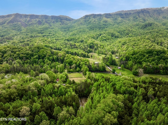 1478 Old Chilhowee Rd, Seymour, TN 37865 - photo 3