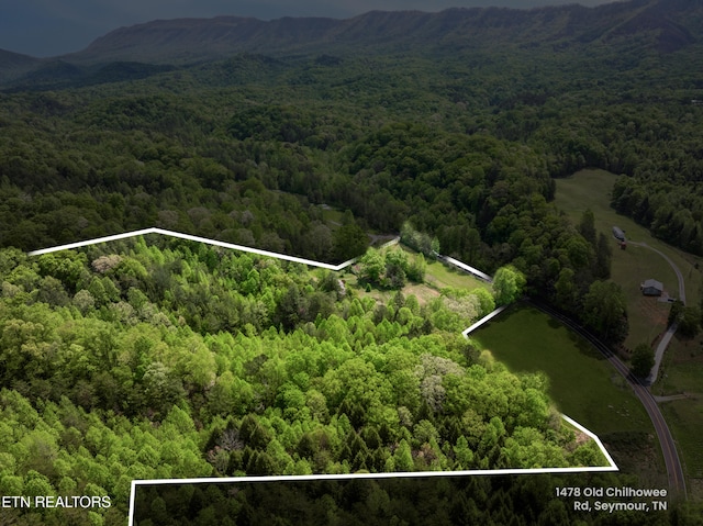 1478 Old Chilhowee Rd, Seymour, TN 37865 - photo 2