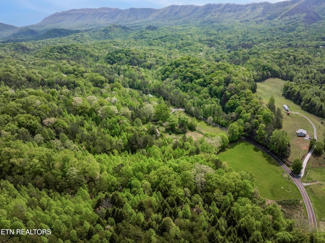 1478 Old Chilhowee Rd, Seymour, TN 37865 - photo 4