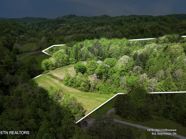 1478 Old Chilhowee Rd, Seymour, TN 37865 - photo 5