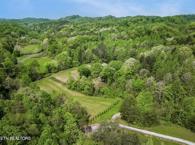 1478 Old Chilhowee Rd, Seymour, TN 37865 - photo 6