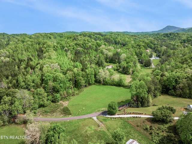1478 Old Chilhowee Rd, Seymour, TN 37865 - photo 9