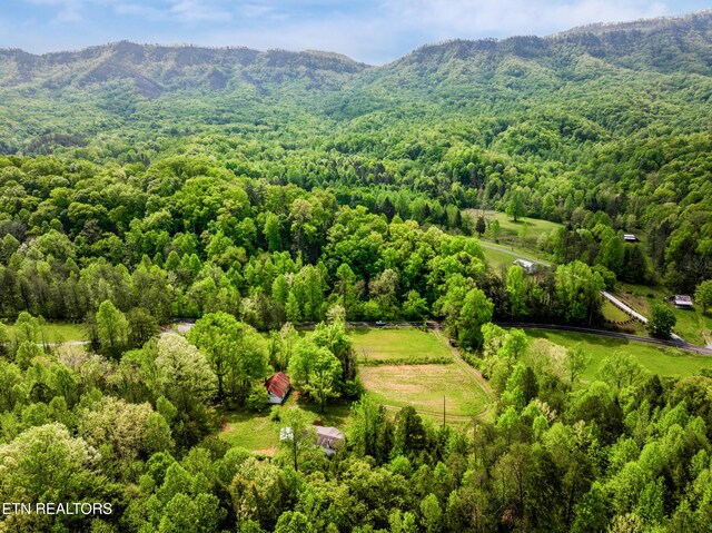 1478 Old Chilhowee Rd, Seymour, TN 37865 - photo 10
