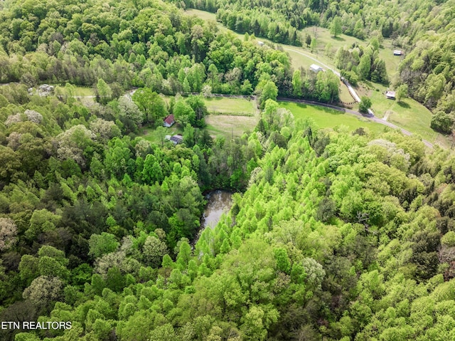 1478 Old Chilhowee Rd, Seymour, TN 37865 - photo 11