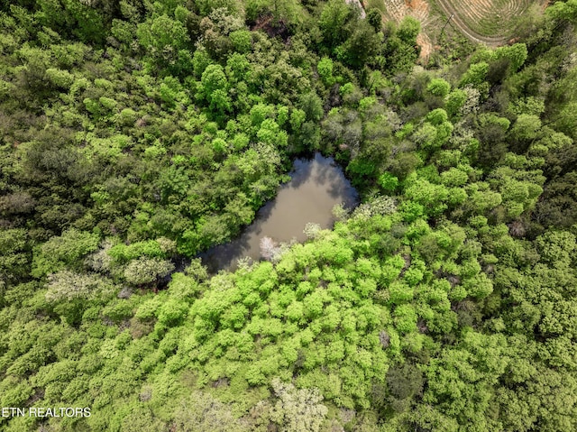 1478 Old Chilhowee Rd, Seymour, TN 37865 - photo 12