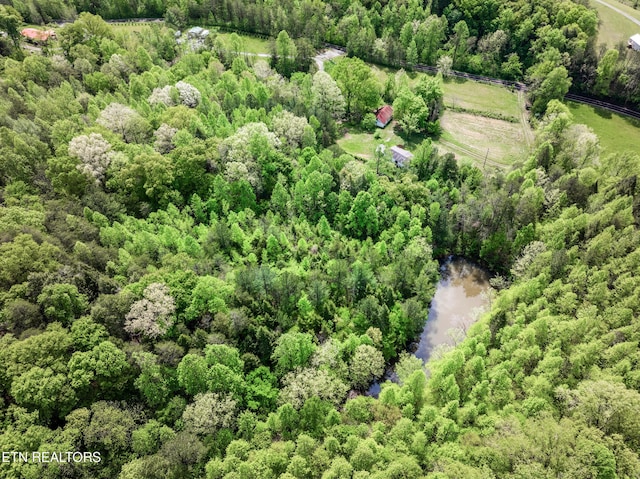 1478 Old Chilhowee Rd, Seymour, TN 37865 - photo 13