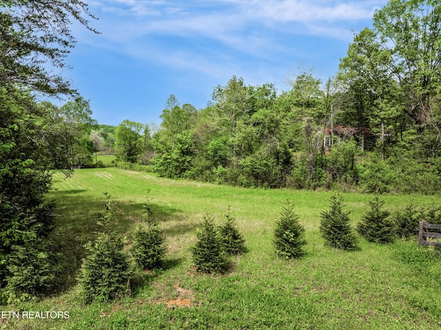 1478 Old Chilhowee Rd, Seymour, TN 37865 - photo 18