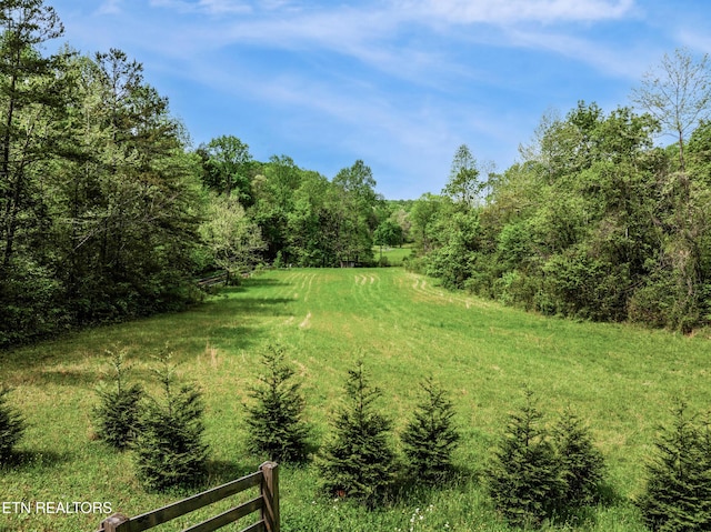 1478 Old Chilhowee Rd, Seymour, TN 37865 - photo 19