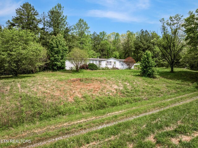 1478 Old Chilhowee Rd, Seymour, TN 37865 - photo 20