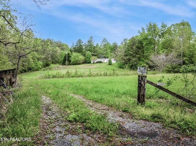 1478 Old Chilhowee Rd, Seymour, TN 37865 - photo 23