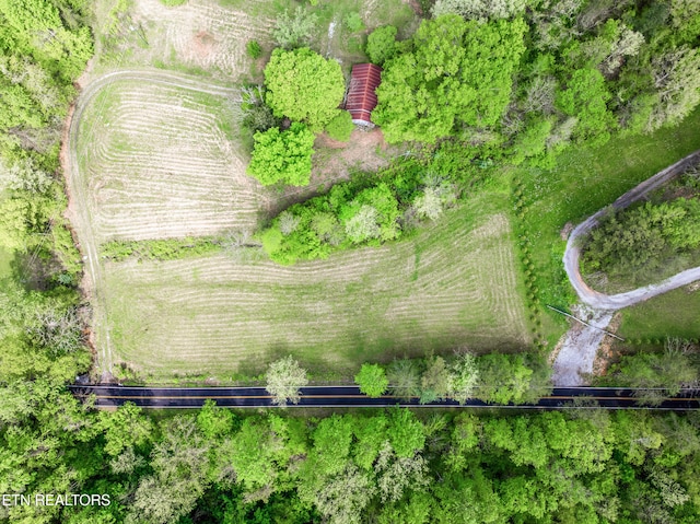 1478 Old Chilhowee Rd, Seymour, TN 37865 - photo 24