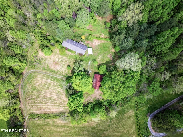 1478 Old Chilhowee Rd, Seymour, TN 37865 - photo 26