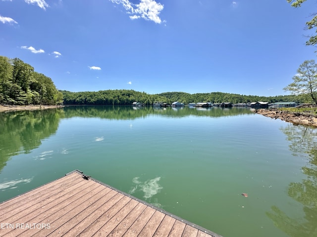 189 Bridle Way, Speedwell, TN 37870 - dock area with a water view and a view of trees