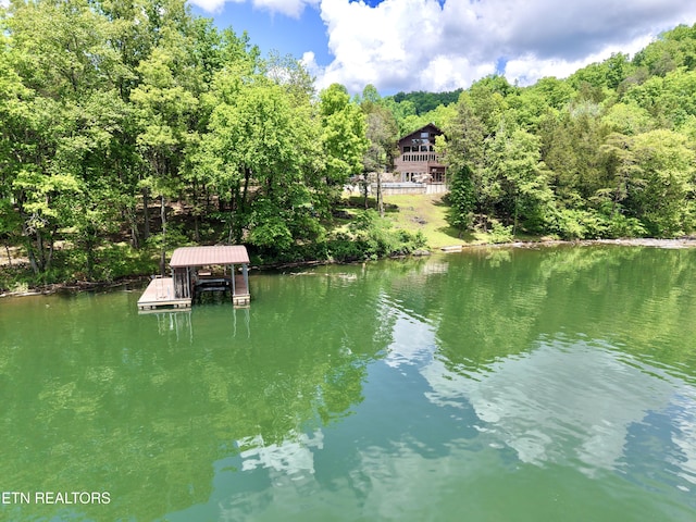 189 Bridle Way, Speedwell, TN 37870 - dock area featuring a water view and a view of trees