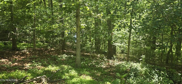 157 Overlook Cv, Crossville, TN 38558 - photo 8