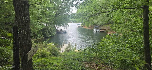 157 Overlook Cv, Crossville, TN 38558 - photo 1
