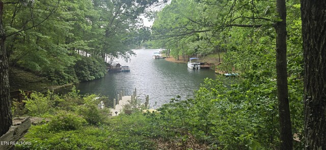 157 Overlook Cv, Crossville, TN 38558 - photo 3