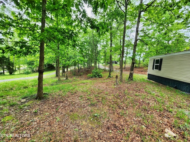 334 Corrington Ln, Lafollette, TN 37766 - view of yard