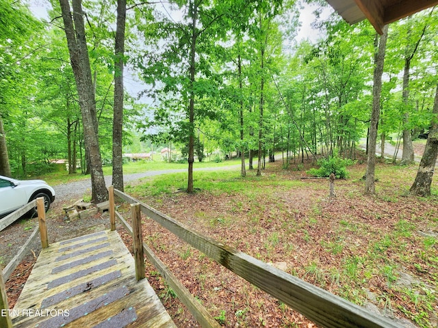 334 Corrington Ln, Lafollette, TN 37766 - view of yard