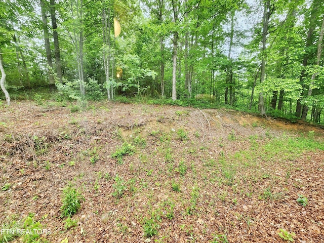 334 Corrington Ln, Lafollette, TN 37766 - view of nature