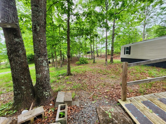 334 Corrington Ln, Lafollette, TN 37766 - view of yard