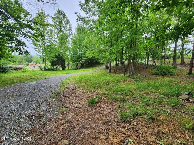 334 Corrington Ln, Lafollette, TN 37766 - view of yard