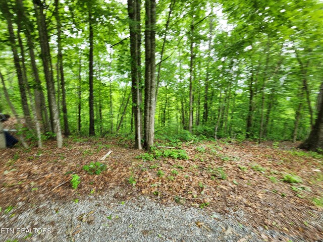 334 Corrington Ln, Lafollette, TN 37766 - view of local wilderness