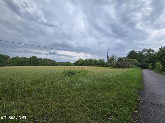 288 Andy Ln, Winfield, TN 37892 - view of road