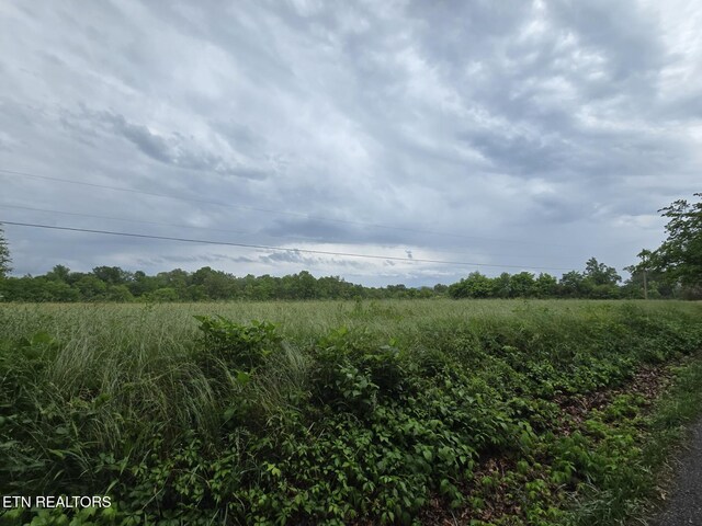 288 Andy Ln, Winfield, TN 37892 - view of local wilderness